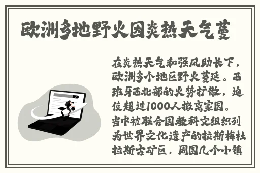 高清不卡二卡三卡四卡无卡